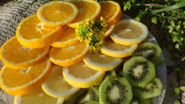 Обои картинки фото еда, цитрусы, трава, кольца