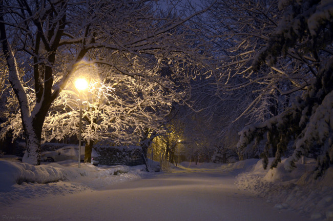 Обои картинки фото природа, зима, простор