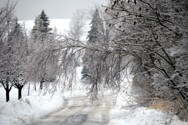 Обои картинки фото природа, зима, простор