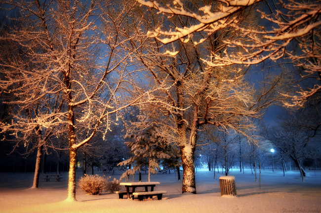 Обои картинки фото природа, зима, простор