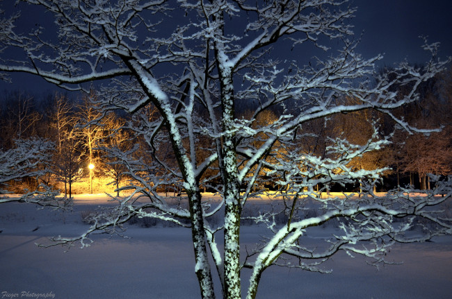 Обои картинки фото природа, зима, простор