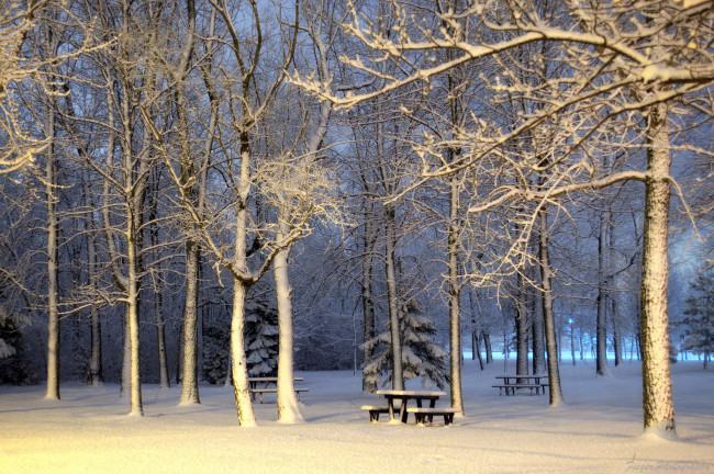 Обои картинки фото природа, зима, простор