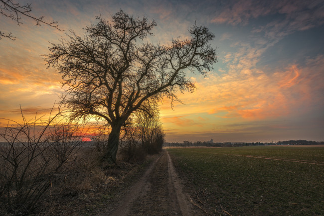 Обои картинки фото природа, дороги, простор