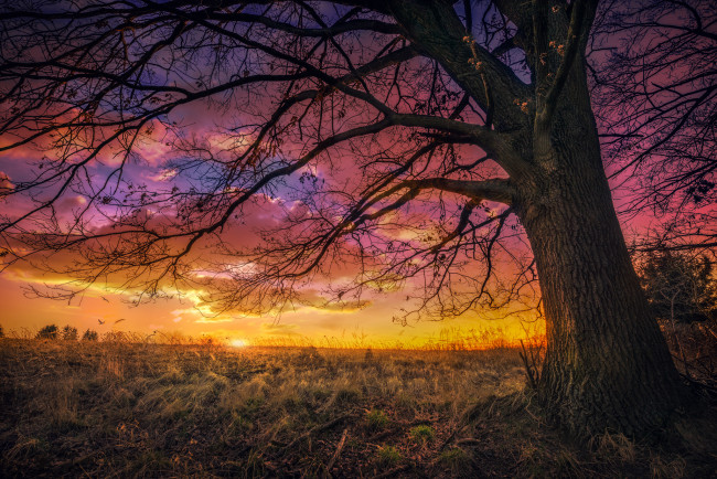 Обои картинки фото природа, восходы, закаты, простор