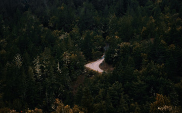 Картинка природа дороги шосс