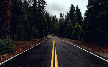 Картинка природа дороги шоссе