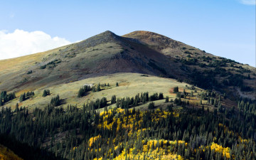 Картинка природа горы лес