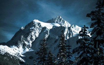 Картинка природа листья осень