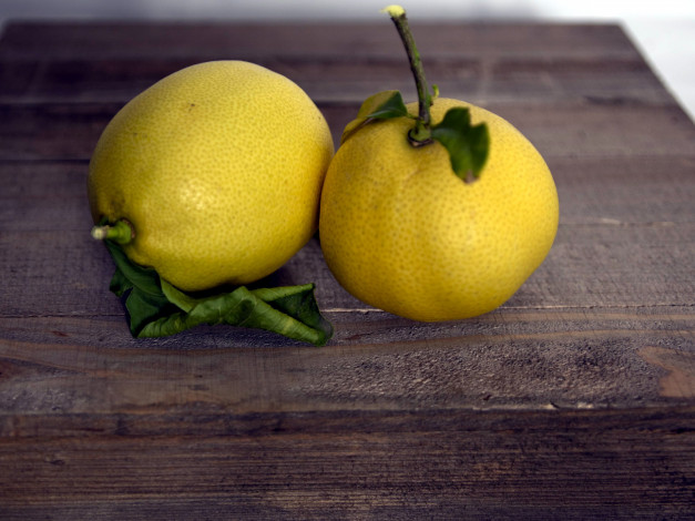 Обои картинки фото еда, цитрусы, лимоны