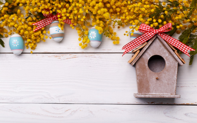 Обои картинки фото праздничные, пасха, яйца, праздник, мимоза, скворечник