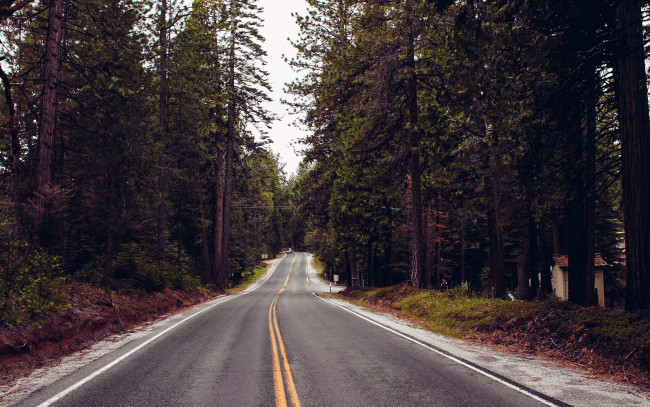 Обои картинки фото природа, дороги, шоссе
