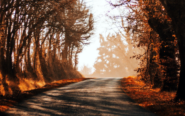 Обои картинки фото природа, дороги, шоссе
