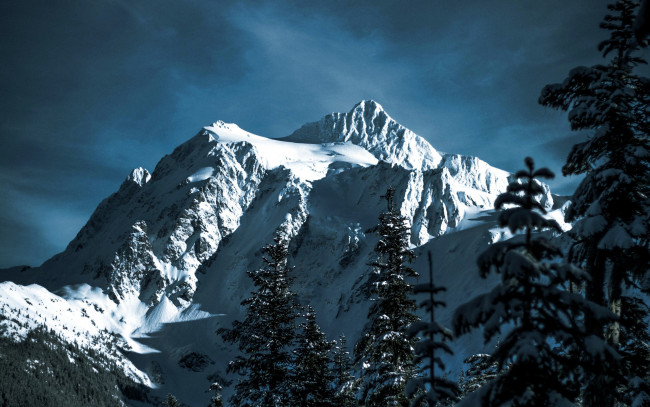 Обои картинки фото природа, листья, осень