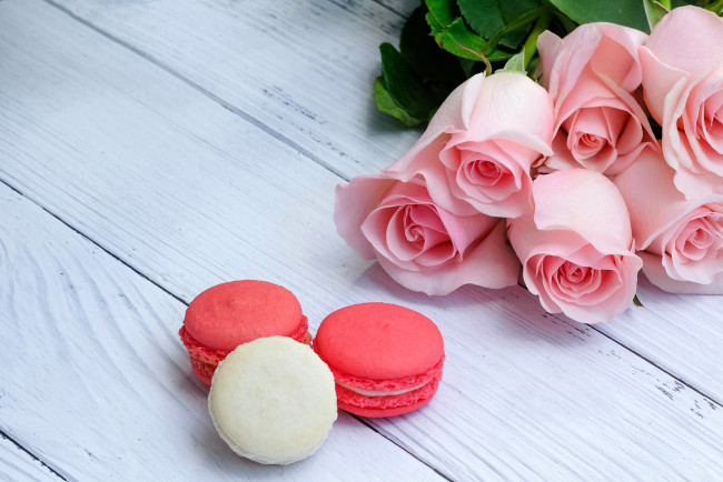 Обои картинки фото еда, макаруны, розы
