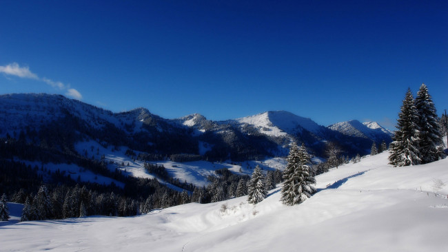 Обои картинки фото природа, горы, небо, деревья, снег