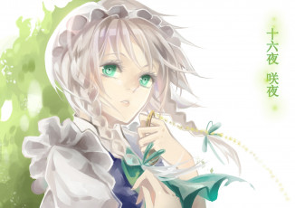 Картинка аниме touhou тоухоу