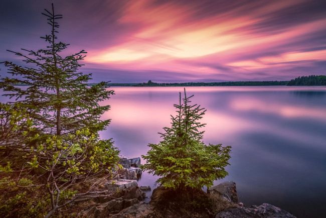 Обои картинки фото красота да ляпота, природа, пейзажи, деревья, пейзаж, закат, озеро, камни, сша, национальный, парк, ёлочки, acadia, national, park, акадия, bar, harbor