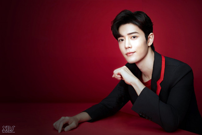 Обои картинки фото мужчины, xiao zhan, актер, пиджак, стол