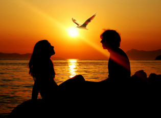 Картинка разное мужчина+женщина пара закат море птица силуэты