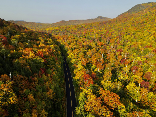 Обои картинки фото красиво, природа, дороги, осень, краски, холмы, лес, дорога