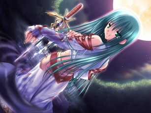 Картинка аниме weapon blood technology