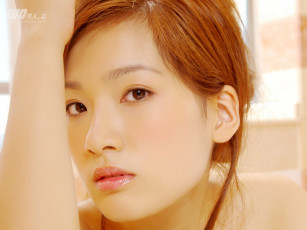 обоя бренды, wo