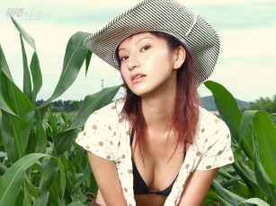 обоя бренды, wo