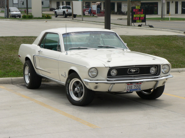 Обои картинки фото автомобили, ford