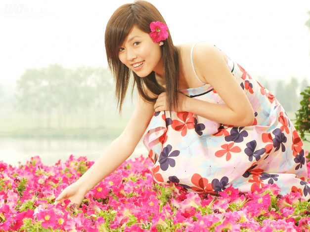 Обои картинки фото бренды, wo