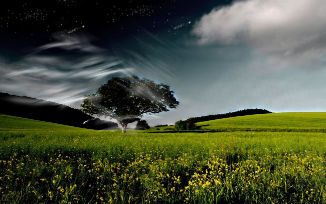 Обои картинки фото природа, луга