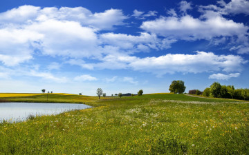 Картинка природа луга