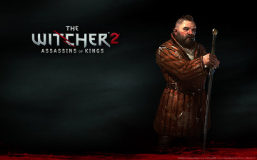 Картинка the witcher assassins of kings видео игры