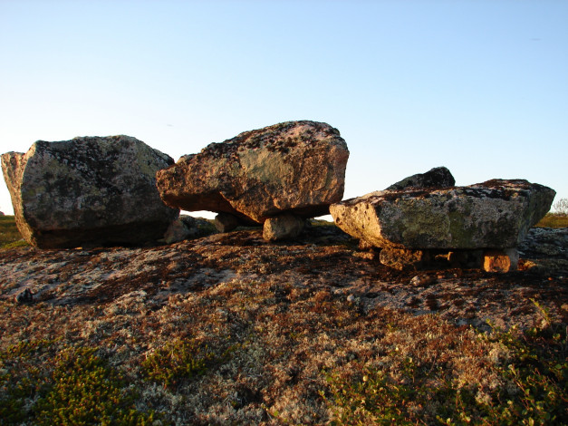 Обои картинки фото 