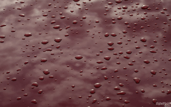 Обои картинки фото разное, капли, брызги, всплески