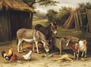 Картинка рисованные edgar hunt