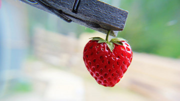 Картинка еда клубника земляника прищепка ягода
