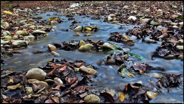 Картинка природа реки озера ручей камни