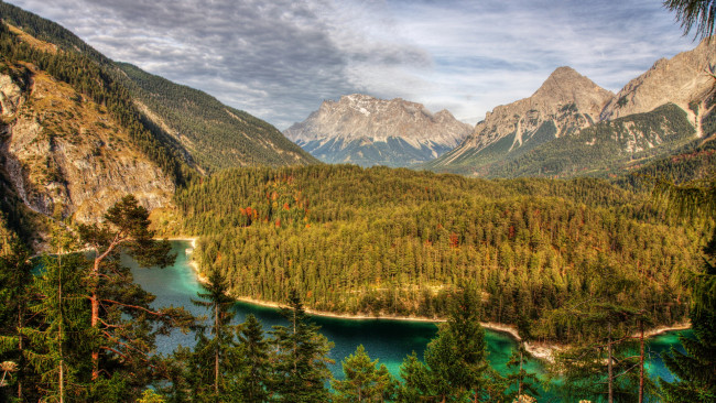 Обои картинки фото природа, пейзажи, лес, река