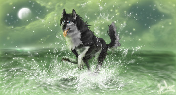 Картинка рисованные животные собаки собака