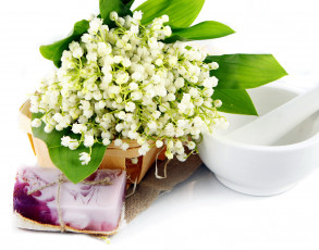 Картинка цветы ландыши мыло