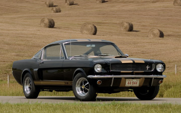 обоя автомобили, mustang