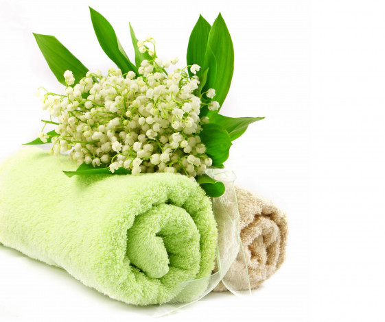 Обои картинки фото цветы, ландыши, лента, салатовый, белый