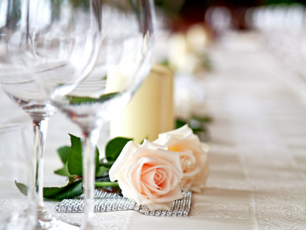 Обои картинки фото цветы, розы, пара