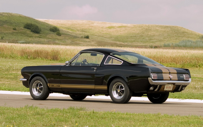 Обои картинки фото автомобили, mustang