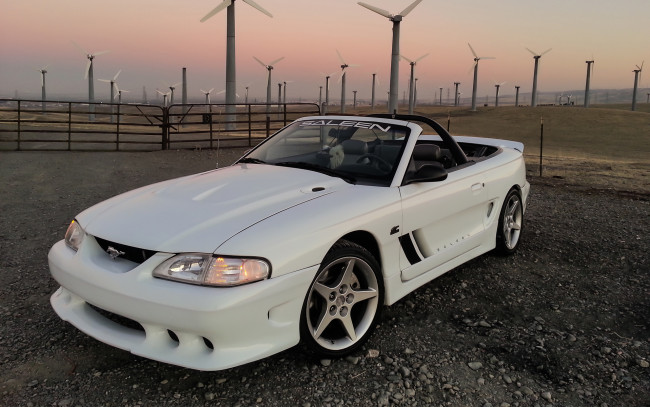 Обои картинки фото автомобили, mustang