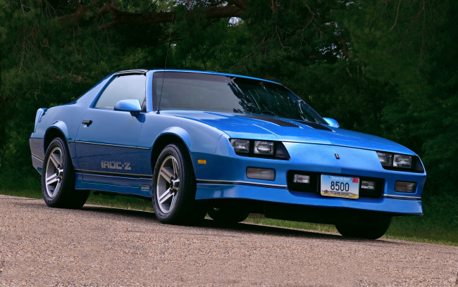 Обои картинки фото автомобили, camaro