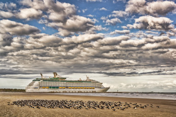 Картинка корабли лайнеры яхта море чайки птицы небо облака