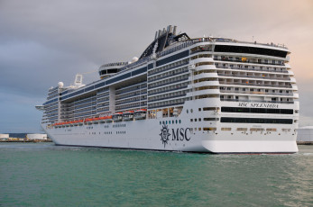 Картинка msc+splendida корабли лайнеры лайнер круизный