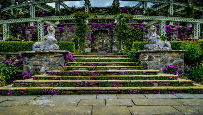 Обои картинки фото города, - исторические,  архитектурные памятники, статуи, цветы, ступени