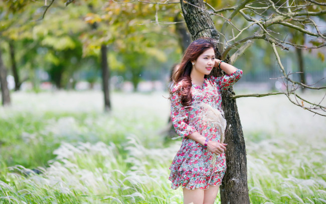 Обои картинки фото девушки, -unsort , азиатки, девушка, азиатка, природа